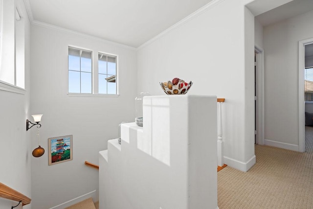 stairway with baseboards, ornamental molding, and carpet flooring