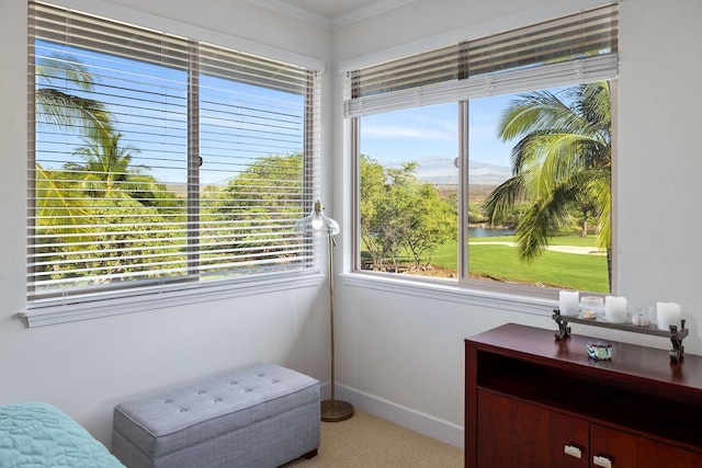 sitting room featuring a healthy amount of sunlight, baseboards, and ornamental molding