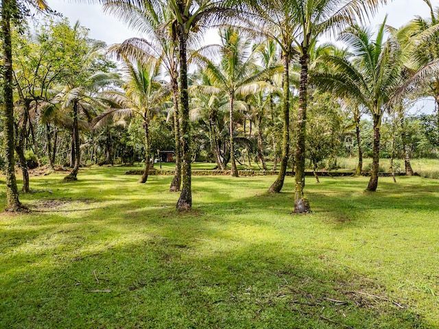 15-1978 9th Ave, Keaau HI, 96749 land for sale