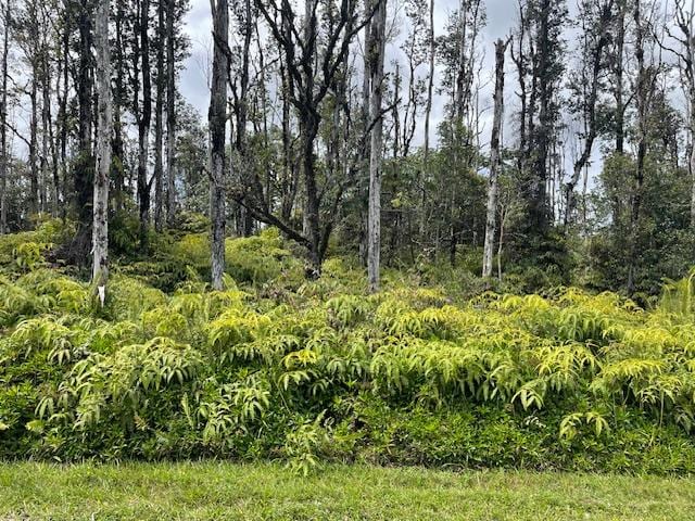 Listing photo 2 for Sugarcane Ln, Pahoa HI 96778