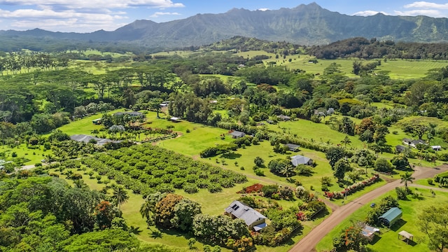 drone / aerial view with a mountain view
