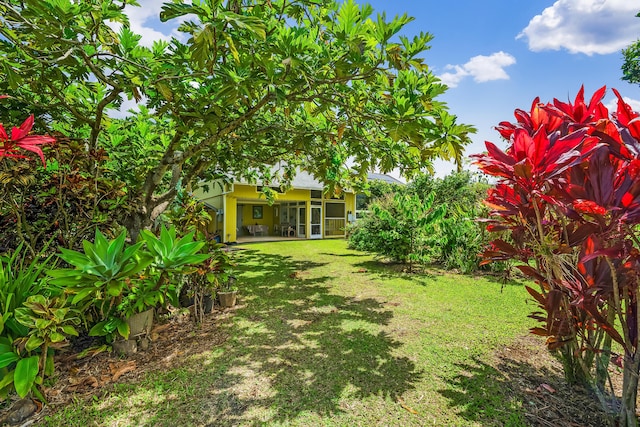 view of yard featuring a patio area