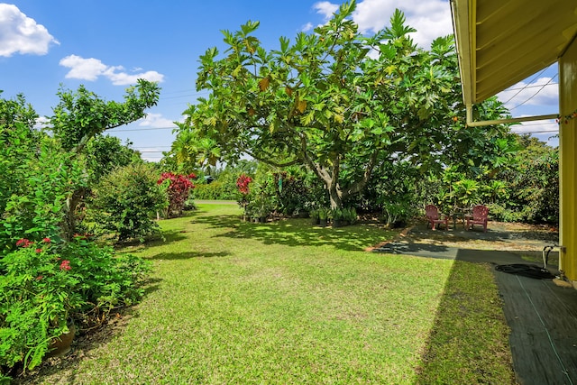 view of yard featuring a patio