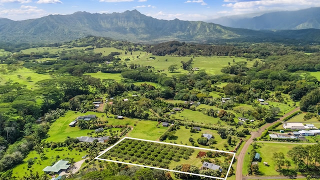 bird's eye view with a mountain view and a rural view