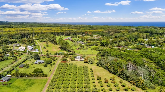 birds eye view of property with a forest view