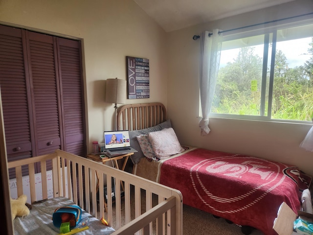 bedroom with lofted ceiling and a closet