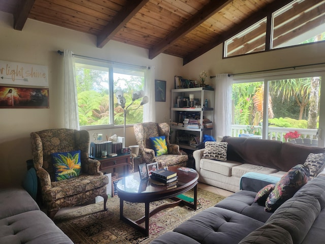 living room with lofted ceiling with beams, plenty of natural light, and wood ceiling