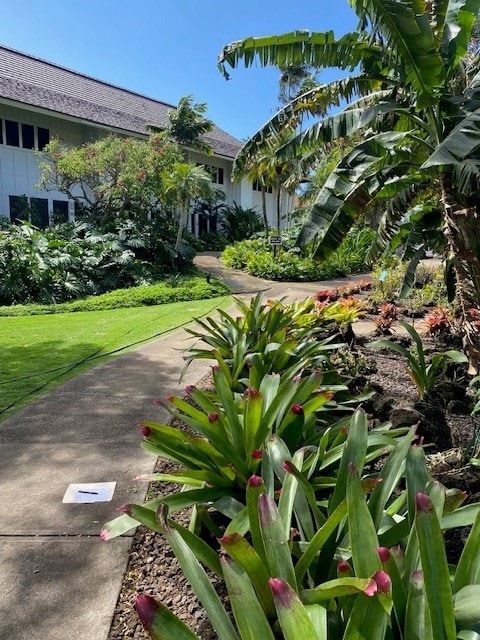 view of home's community with a yard