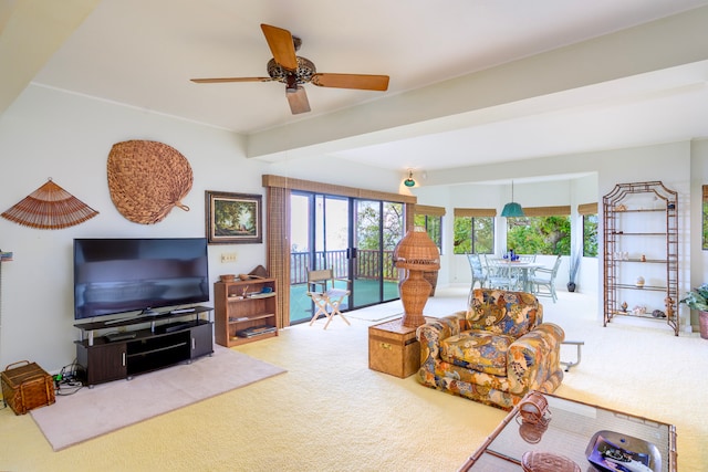 living area with a ceiling fan and carpet flooring