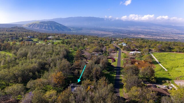 drone / aerial view featuring a view of trees and a mountain view