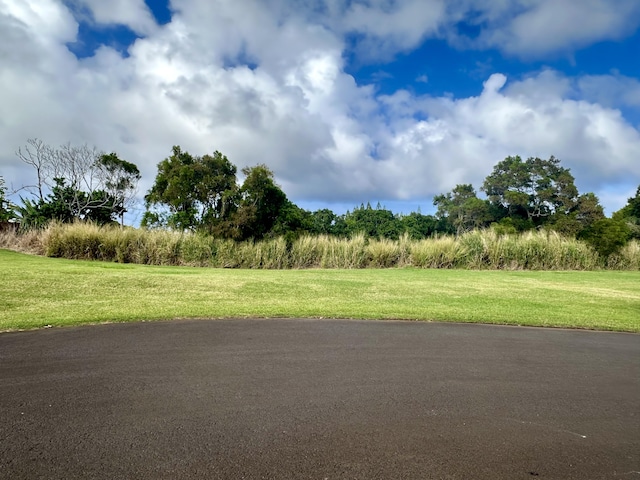 54-3703 Lehuula Cir, Kapaau HI, 96755 land for sale