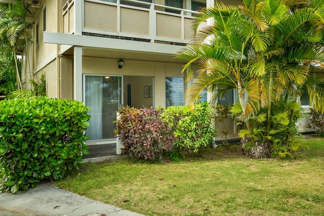 entrance to property featuring stucco siding and a lawn