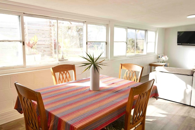 dining space featuring wood finished floors