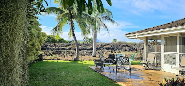 view of yard featuring a patio and a sunroom