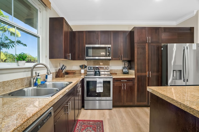kitchen featuring ornamental molding, dark brown cabinets, appliances with stainless steel finishes, a sink, and light wood-style floors