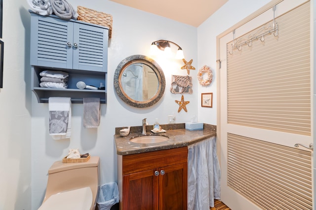bathroom with toilet and vanity