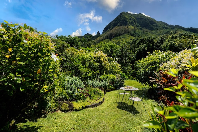 5-8192 Kuhio Hwy, Hanalei, HI 96714 - view of mountain backdrop