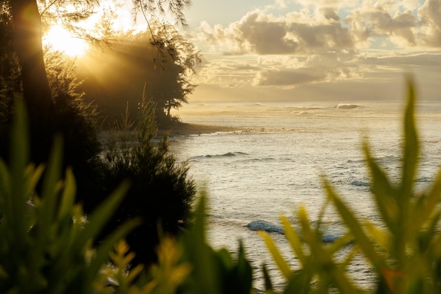5-8192 Kuhio Hwy, Hanalei, HI 96714 - water view featuring local beach