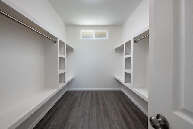 spacious closet featuring dark wood finished floors