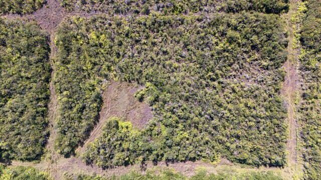 Glenwood Rd, Volcano, HI 96785