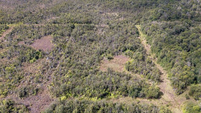 Glenwood Rd, Volcano, HI 96785