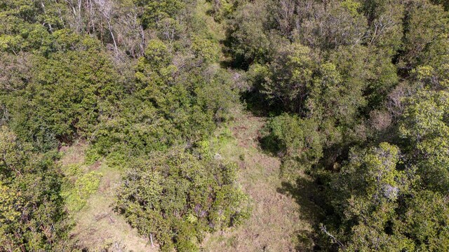 Glenwood Rd, Volcano, HI 96785