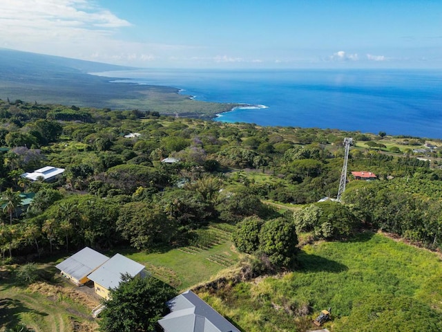 drone / aerial view with a wooded view and a water view