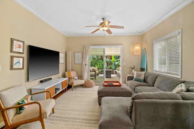 living room featuring ceiling fan, carpet, and ornamental molding