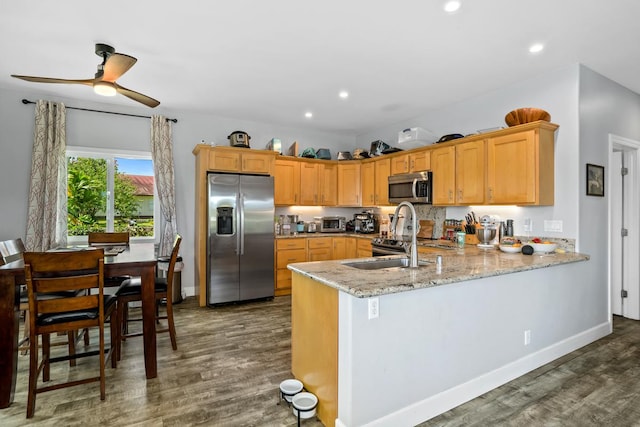 kitchen featuring a sink, a ceiling fan, wood finished floors, a peninsula, and stainless steel appliances
