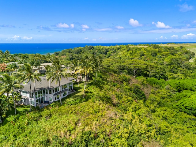 bird's eye view featuring a water view