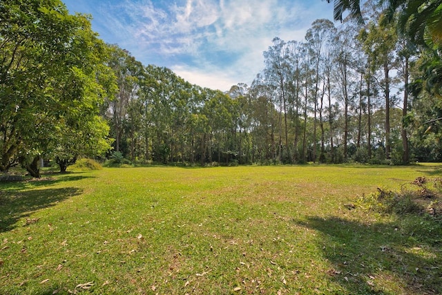 view of yard with a forest view