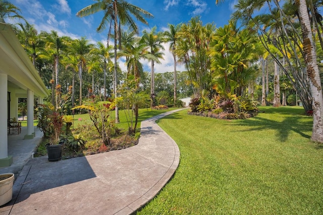 view of community featuring a patio and a yard