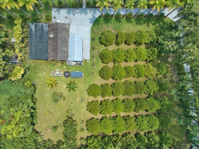 bird's eye view