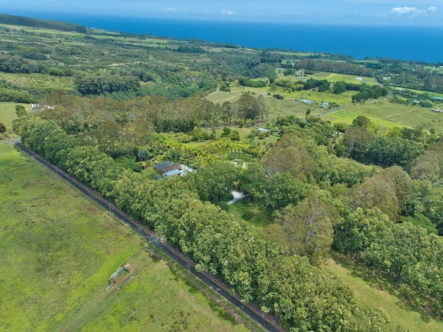 bird's eye view with a forest view
