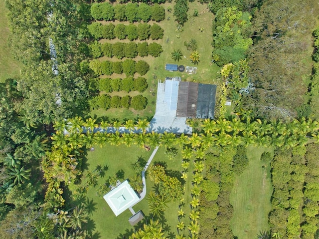 bird's eye view