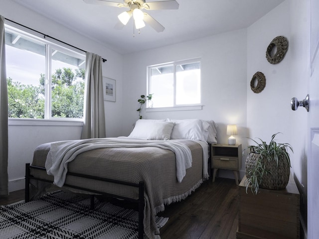 bedroom featuring dark wood-type flooring, multiple windows, and a ceiling fan