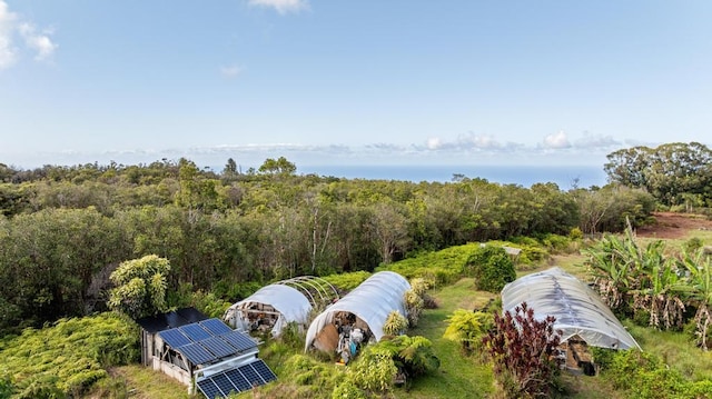 32-520 Piha Kahuku Rd, Ninole, HI 96773 - aerial view of a heavily wooded area and a nearby body of water