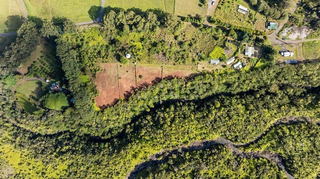 32-520 Piha Kahuku Rd, Ninole, HI 96773 - aerial view