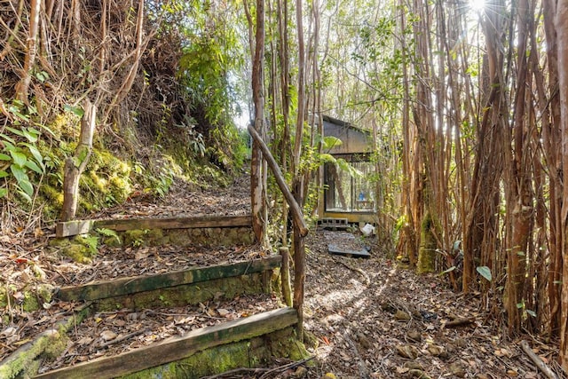 32-520 Piha Kahuku Rd, Ninole, HI 96773 - view of yard