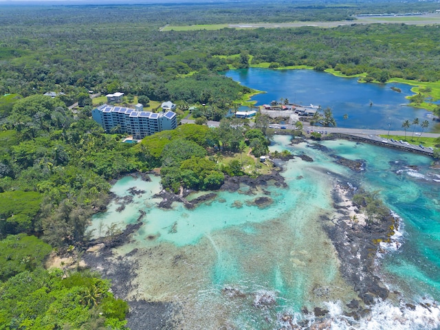 1875 Kalanianaole Ave Unit 311, Hilo, HI 96720 - aerial view of property and surrounding area with a forest and a nearby body of water