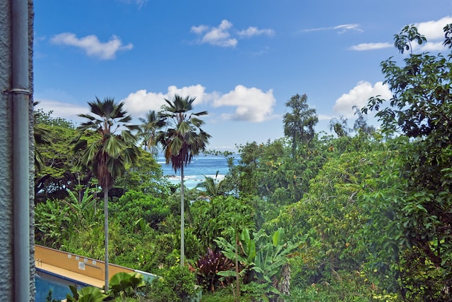 1875 Kalanianaole Ave Unit 311, Hilo, HI 96720 - water view
