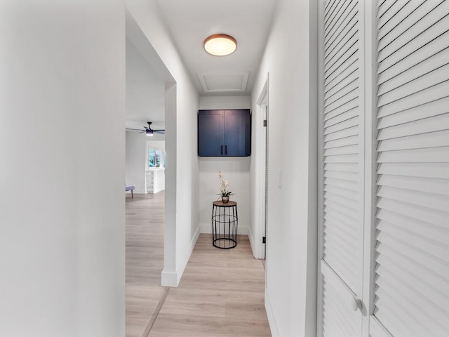 2427 Kaiwiki Rd, Hilo, HI 96720 - corridor with light wood-style floors and baseboards