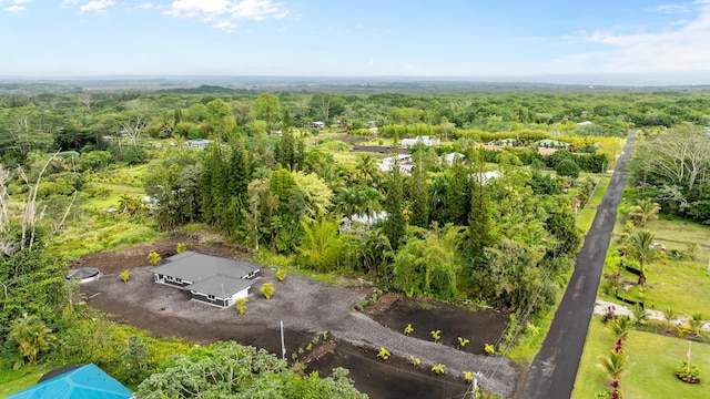 aerial view of a forest