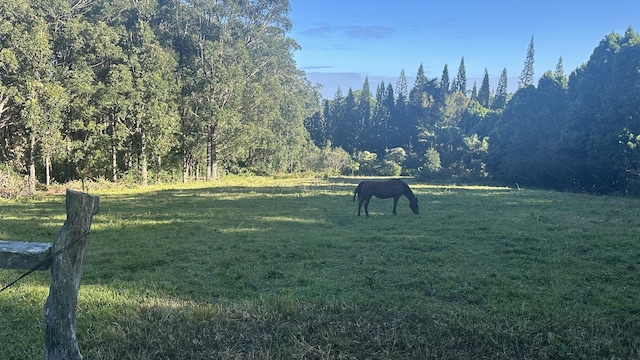 45-1181 Kalehua Rd, Honokaa, HI 96727 - view of yard featuring a rural view and a view of trees