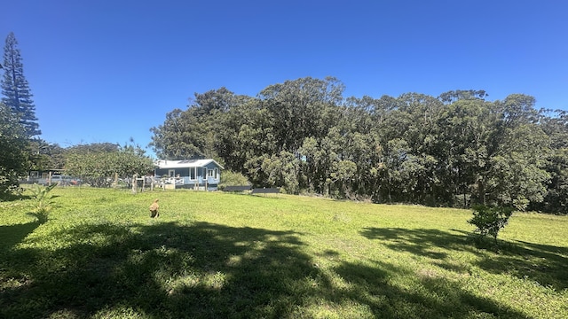 45-1181 Kalehua Rd, Honokaa, HI 96727 - view of yard