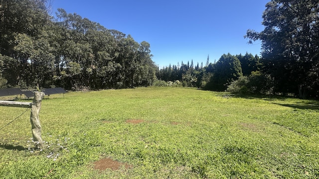 45-1181 Kalehua Rd, Honokaa, HI 96727 - view of yard
