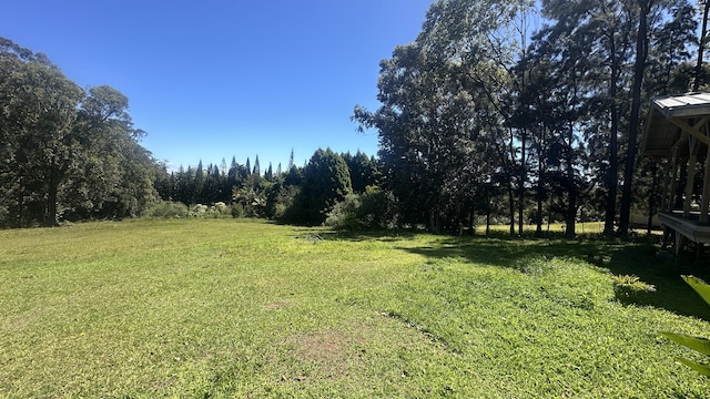 45-1181 Kalehua Rd, Honokaa, HI 96727 - view of yard