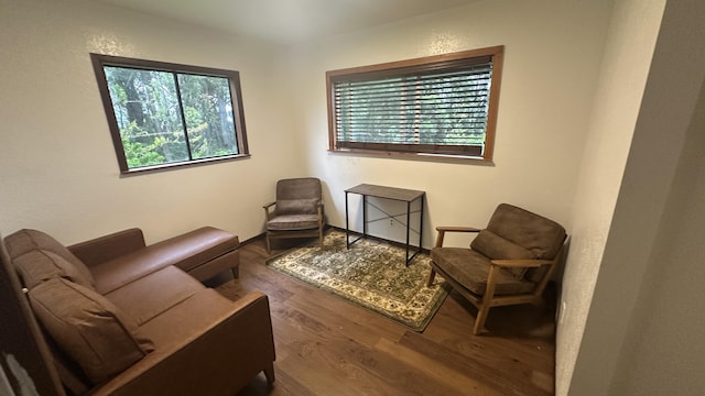 45-1181 Kalehua Rd, Honokaa, HI 96727 - sitting room featuring wood finished floors and a healthy amount of sunlight