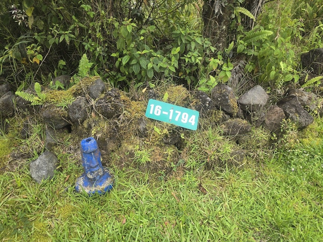 16-1793 Uhini Ana Rd, Mountain View, HI 96760