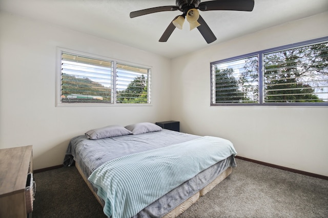 4013 Hoohana St, Lihue, HI 96766 - carpeted bedroom with baseboards and ceiling fan
